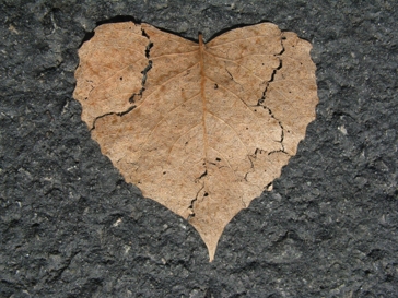 5 tipů, jak vyléčit zlomené srdce 