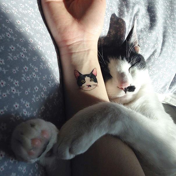 Tetování kočka